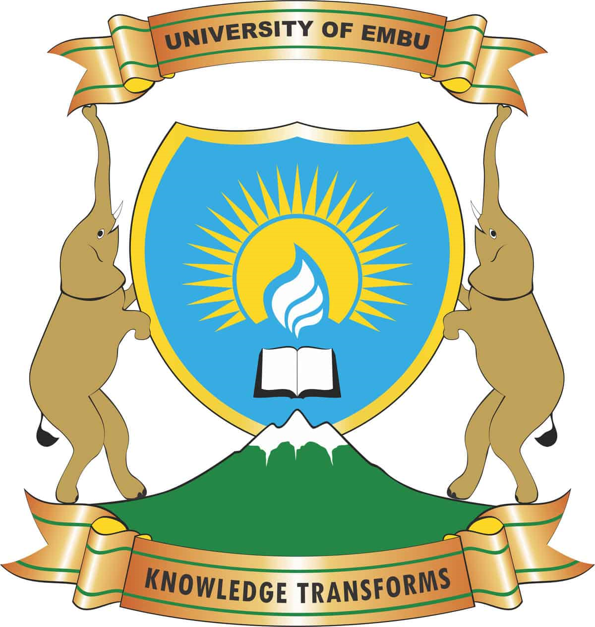 Repository logo