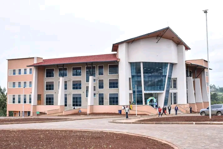 University of Embu Library